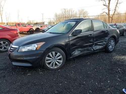 Salvage cars for sale at New Britain, CT auction: 2012 Honda Accord EXL