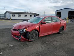 Salvage cars for sale from Copart Airway Heights, WA: 2014 Toyota Camry L