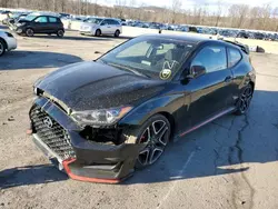 Salvage cars for sale at Marlboro, NY auction: 2019 Hyundai Veloster N