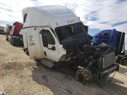Salvage trucks for sale at Abilene, TX auction: 2009 Freightliner Cascadia 125