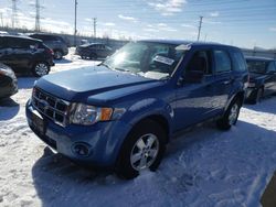 Salvage cars for sale at Elgin, IL auction: 2010 Ford Escape XLS