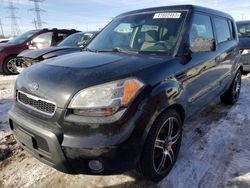 Salvage cars for sale at Dyer, IN auction: 2010 KIA Soul +