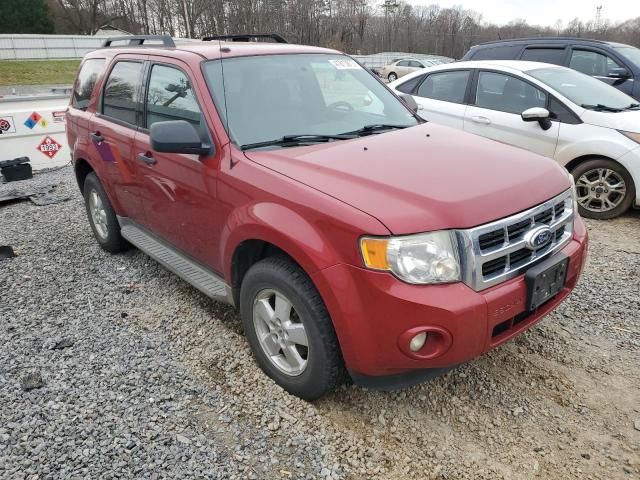 2010 Ford Escape XLT