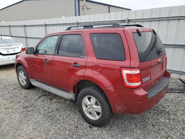 2010 Ford Escape XLT