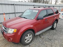 Salvage cars for sale at Gastonia, NC auction: 2010 Ford Escape XLT