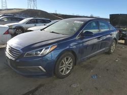 Salvage cars for sale at Brighton, CO auction: 2016 Hyundai Sonata SE