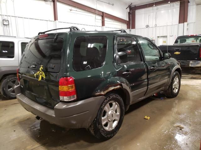 2002 Ford Escape XLT