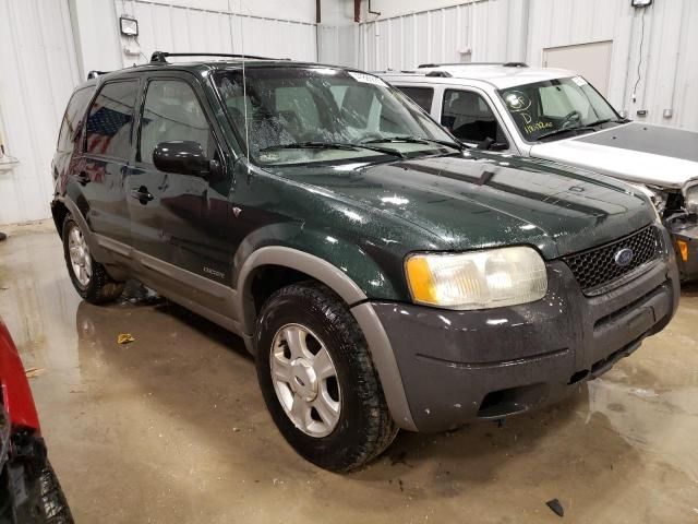 2002 Ford Escape XLT