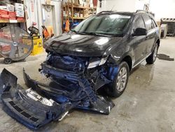 Salvage cars for sale from Copart Memphis, TN: 2010 Ford Edge SEL