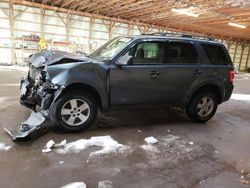Salvage cars for sale from Copart London, ON: 2010 Ford Escape XLT