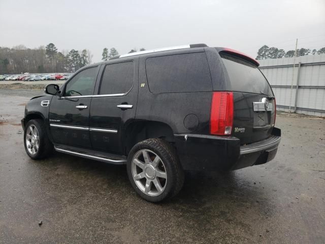 2009 Cadillac Escalade Hybrid