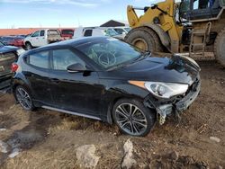 Clean Title Cars for sale at auction: 2016 Hyundai Veloster Turbo