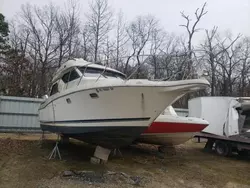 Salvage boats for sale at Glassboro, NJ auction: 1997 Boat Boat