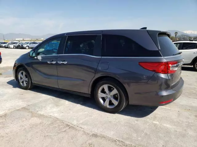 2019 Honda Odyssey EXL