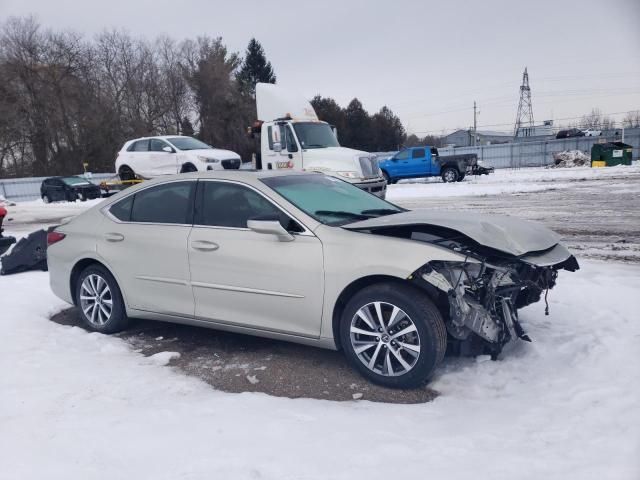 2020 Lexus ES 300H