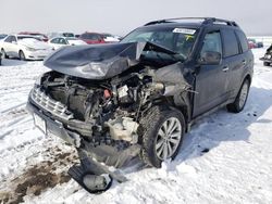 Salvage cars for sale at Helena, MT auction: 2013 Subaru Forester Limited