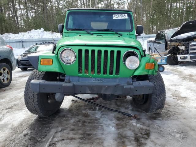 2005 Jeep Wrangler / TJ Rubicon