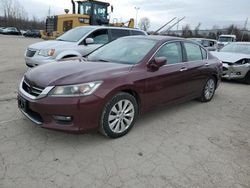 Salvage cars for sale from Copart Bridgeton, MO: 2014 Honda Accord EXL