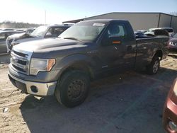 Salvage cars for sale from Copart Seaford, DE: 2013 Ford F150