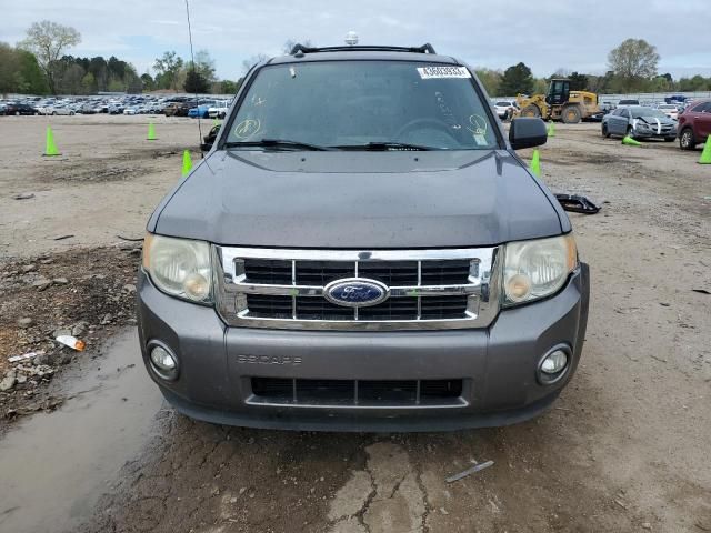 2011 Ford Escape XLT