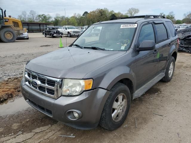 2011 Ford Escape XLT