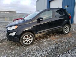 2019 Ford Ecosport SE for sale in Elmsdale, NS