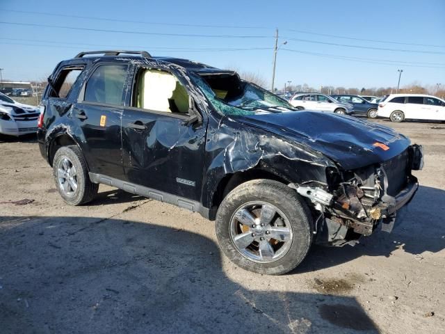 2008 Ford Escape XLT