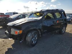 Ford salvage cars for sale: 2008 Ford Escape XLT