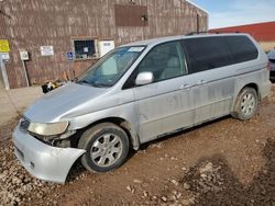 Salvage cars for sale at Rapid City, SD auction: 2003 Honda Odyssey EXL
