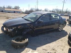 Vehiculos salvage en venta de Copart Columbus, OH: 2010 Honda Accord EX