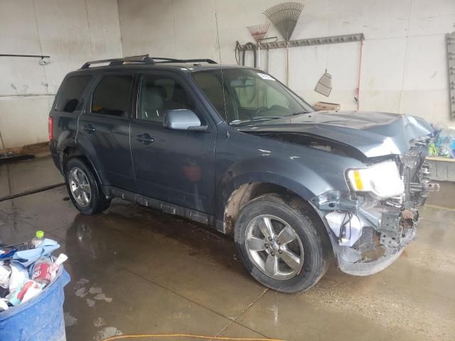 2011 Ford Escape Limited