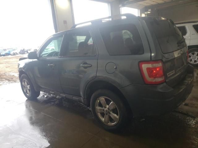 2011 Ford Escape Limited