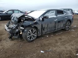 Salvage cars for sale at Brighton, CO auction: 2018 Nissan Maxima 3.5S