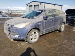 Ford salvage cars for sale: 2013 Ford Escape SE