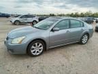 2007 Nissan Maxima SE