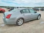 2007 Nissan Maxima SE