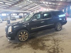Salvage cars for sale at East Granby, CT auction: 2012 Cadillac Escalade ESV Luxury
