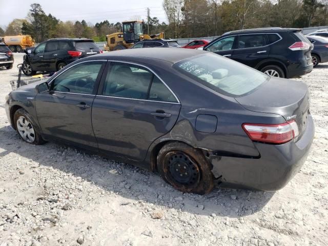 2009 Toyota Camry Hybrid