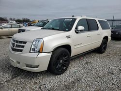 Cadillac salvage cars for sale: 2014 Cadillac Escalade ESV Premium