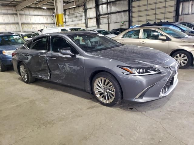 2019 Lexus ES 300H