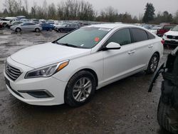 Salvage cars for sale from Copart Portland, OR: 2016 Hyundai Sonata SE