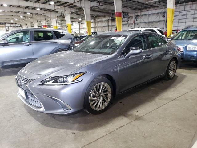 2019 Lexus ES 300H