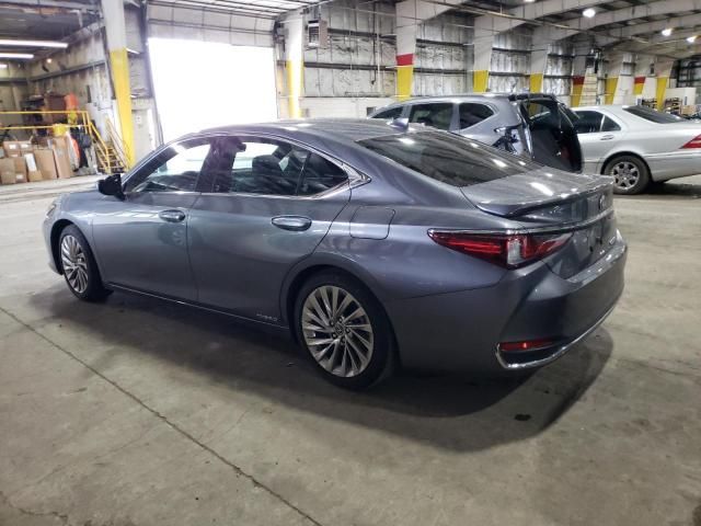 2019 Lexus ES 300H