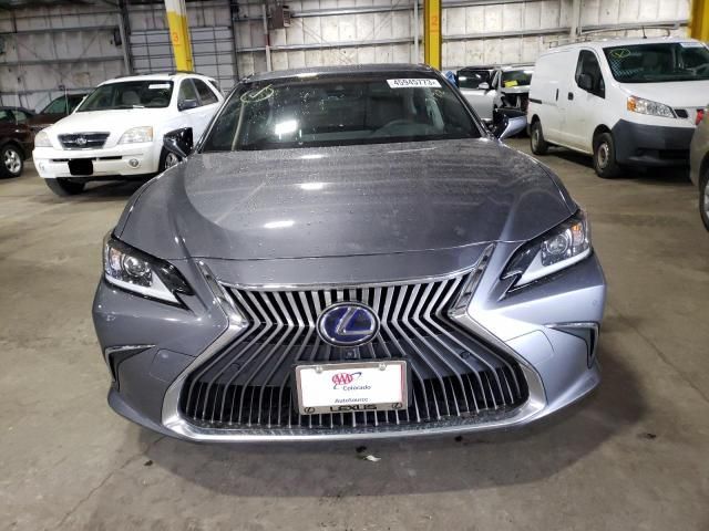 2019 Lexus ES 300H