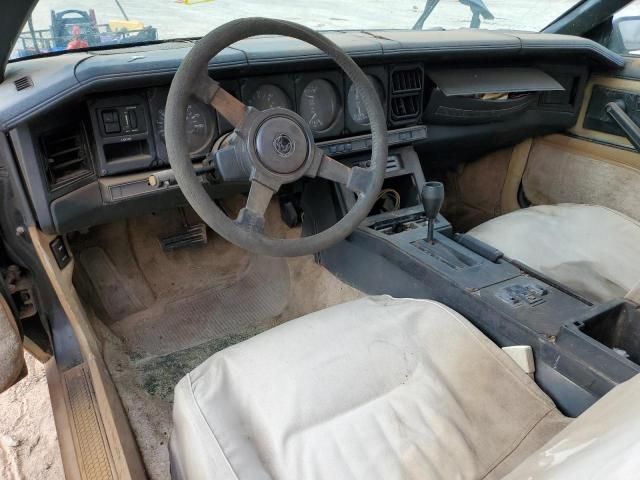 1982 Pontiac Firebird Trans AM