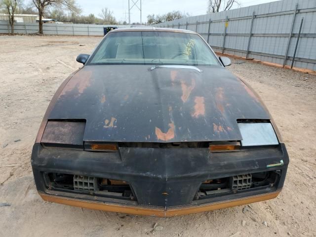 1982 Pontiac Firebird Trans AM