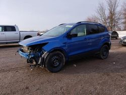 Salvage cars for sale from Copart London, ON: 2017 Ford Escape SE