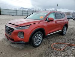 Hyundai salvage cars for sale: 2019 Hyundai Santa FE SEL