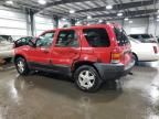 2002 Ford Escape XLT