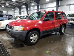 Ford Vehiculos salvage en venta: 2002 Ford Escape XLT